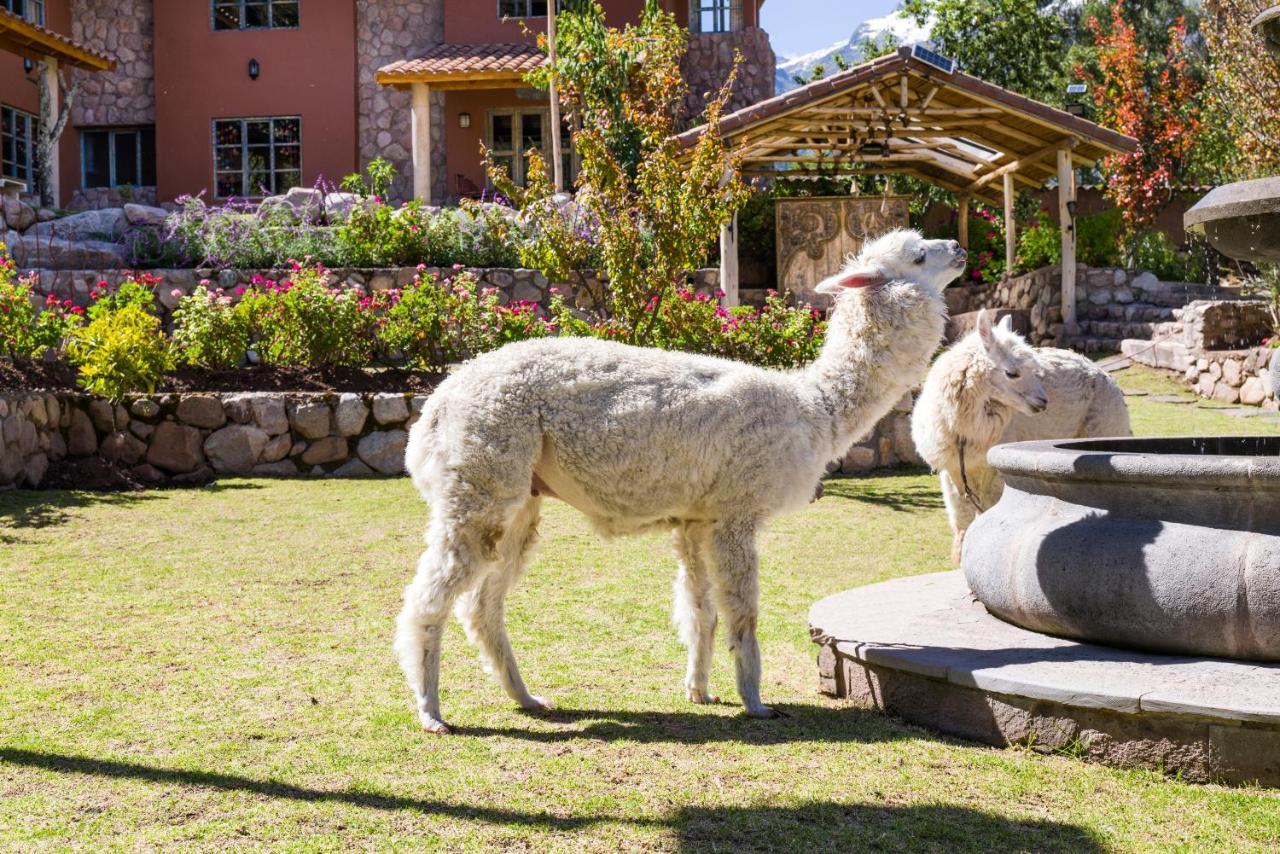 VILLA APU CHICON  Urubamba Bagian luar foto