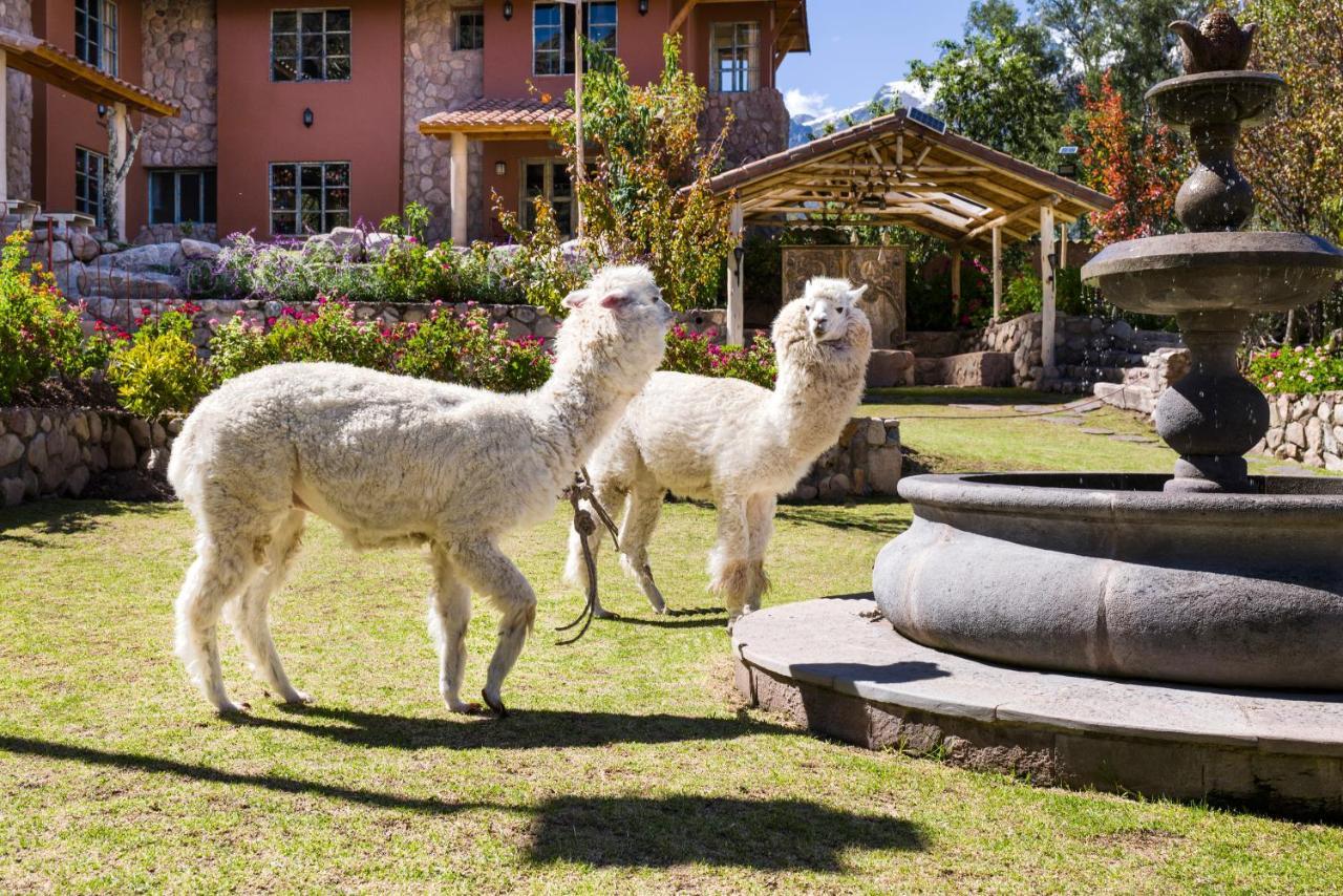 VILLA APU CHICON  Urubamba Bagian luar foto