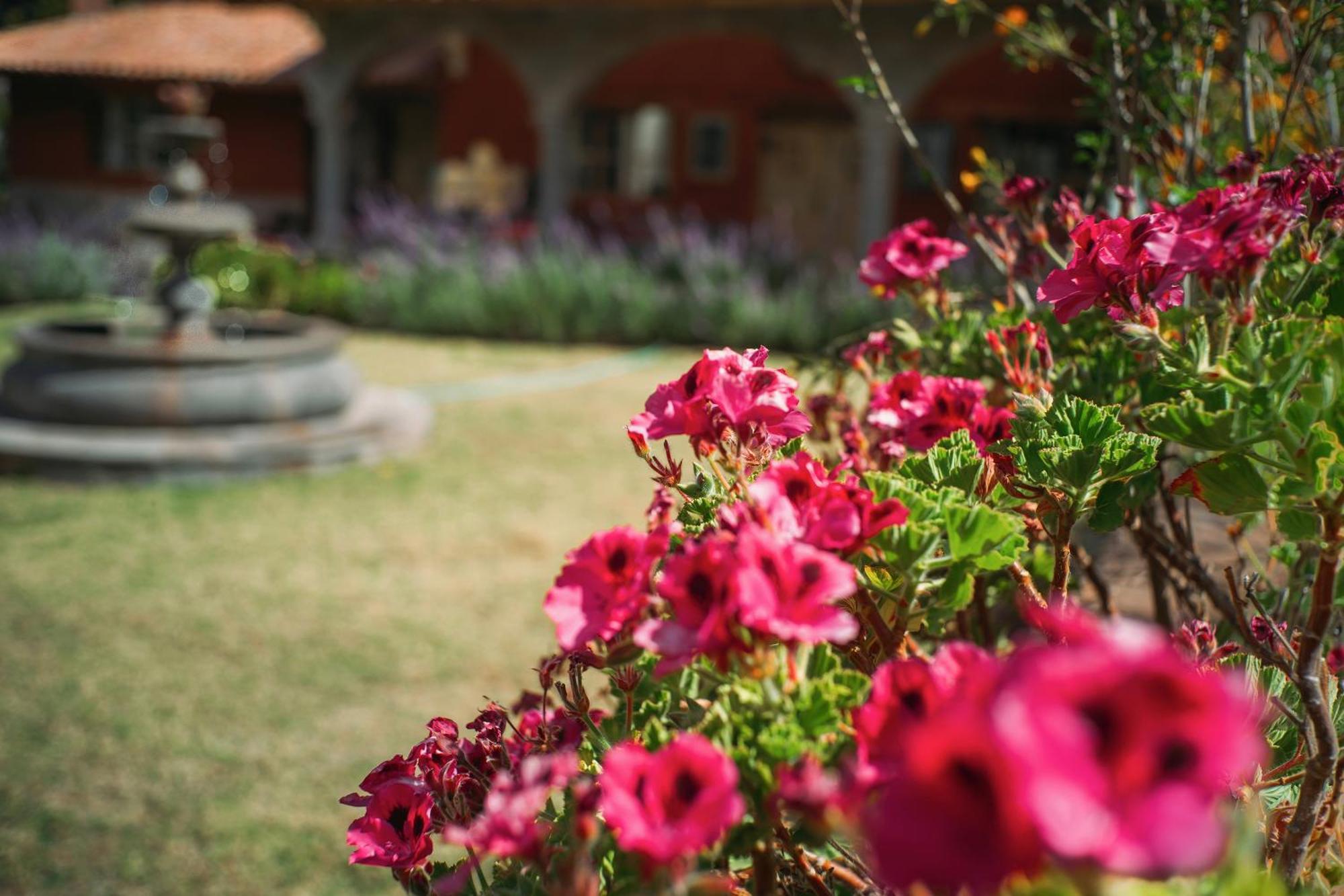VILLA APU CHICON  Urubamba Bagian luar foto