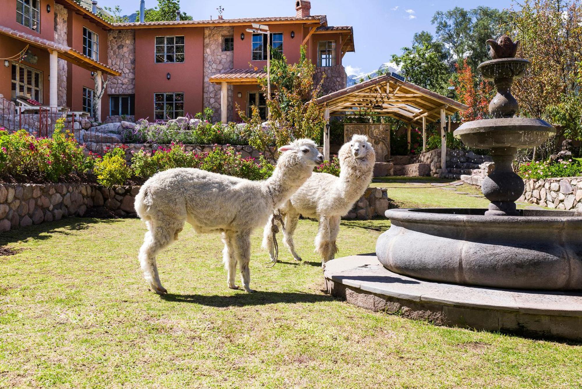 VILLA APU CHICON  Urubamba Bagian luar foto